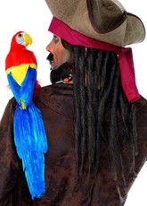 Pirátska sada (papagáj, elastický držiak)