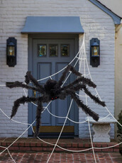 Vonkajšia dekorácia, pavúk so sieťou